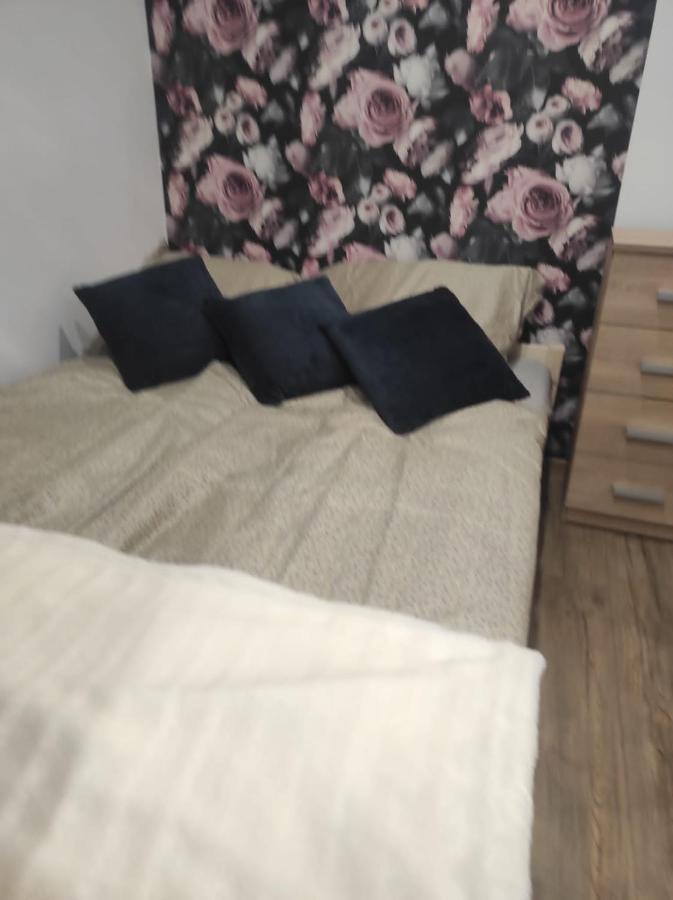 Appartement Walbrzych Pilsuckiego News Apartament Extérieur photo