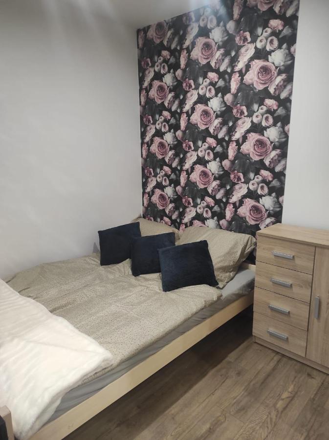 Appartement Walbrzych Pilsuckiego News Apartament Extérieur photo